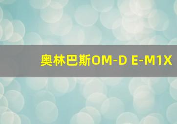 奥林巴斯OM-D E-M1X